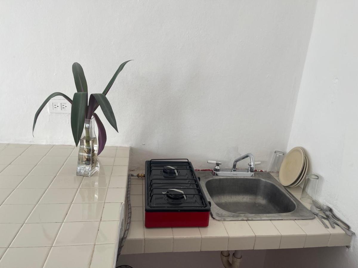 Apartamentos Cupules Mérida Zewnętrze zdjęcie